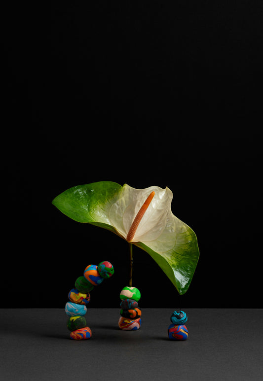 Polyphenols and Mental Wellbeing