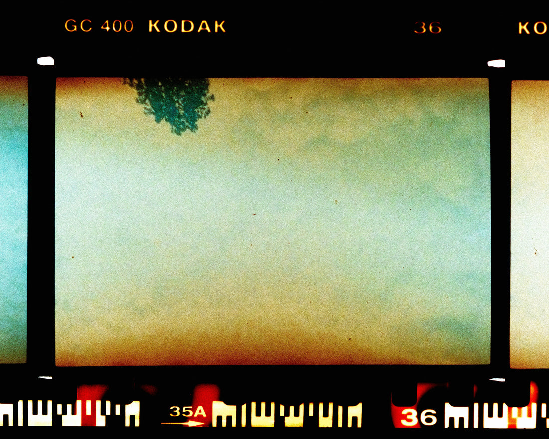 Why SAD Hits In Spring And What You Can Do About It ALLY why-sad-hits-in-spring-and-what-you-can-do-about-it-ally